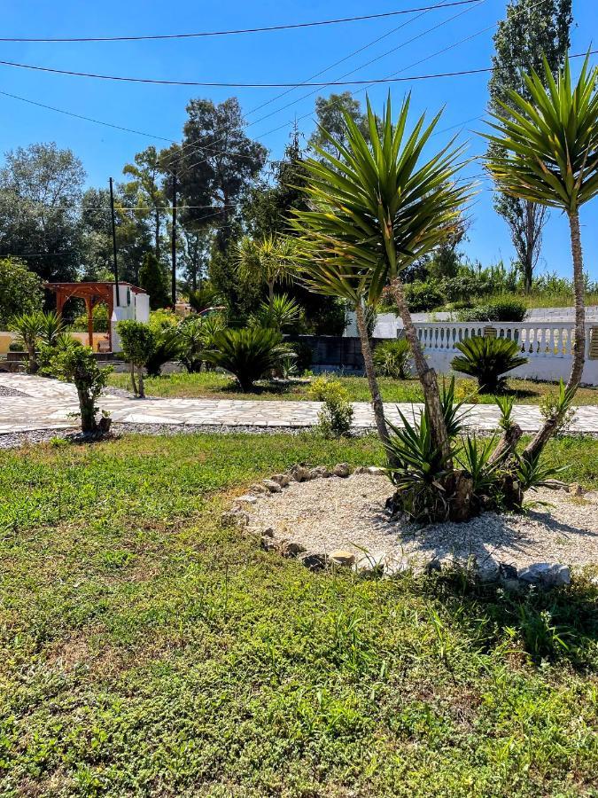 Euphoria Suites And Studios Sidari  Bagian luar foto